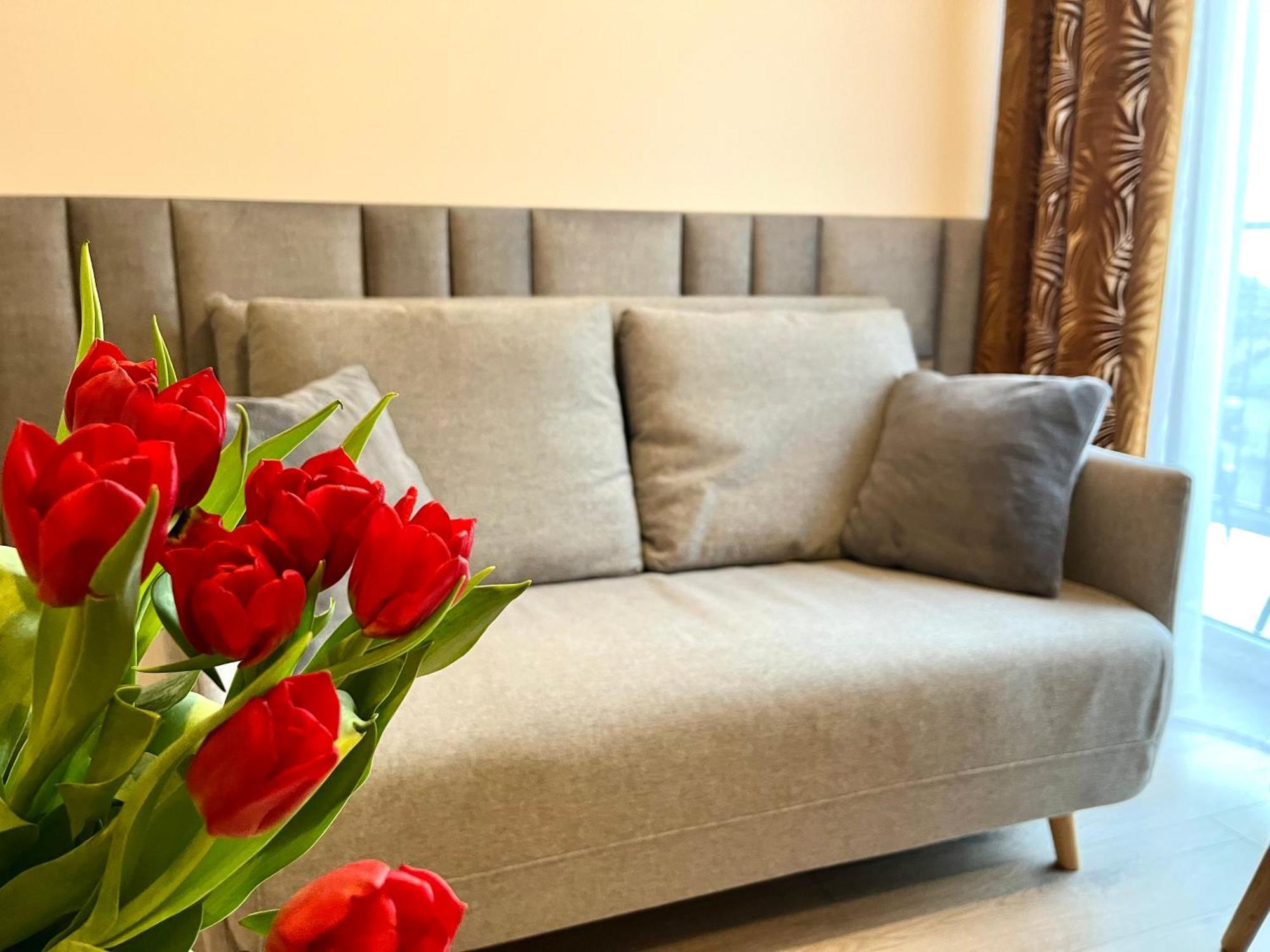 קרפאז' Karkonoskie Widoki Apartamenty מראה חיצוני תמונה