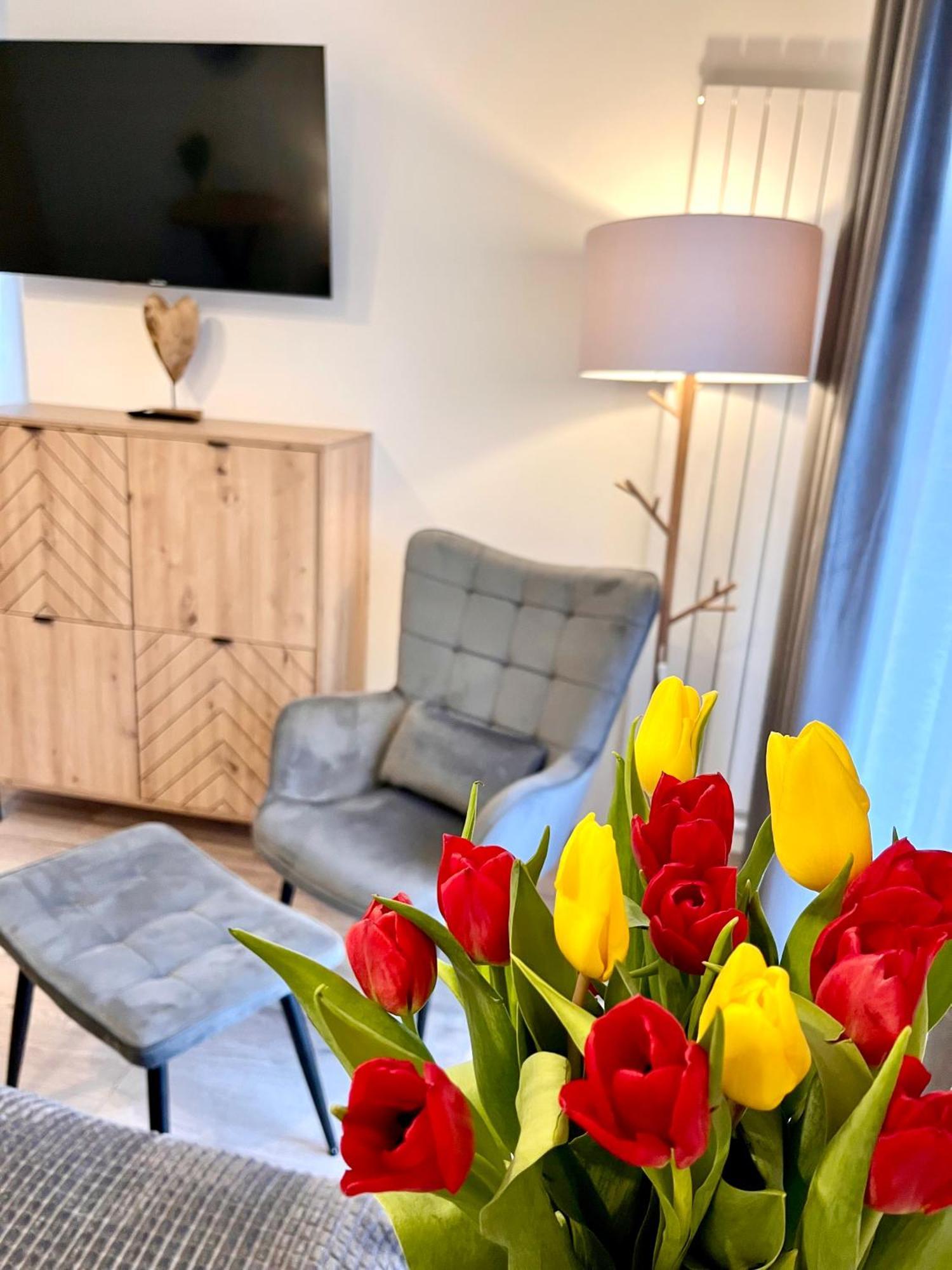 קרפאז' Karkonoskie Widoki Apartamenty מראה חיצוני תמונה